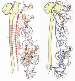 62